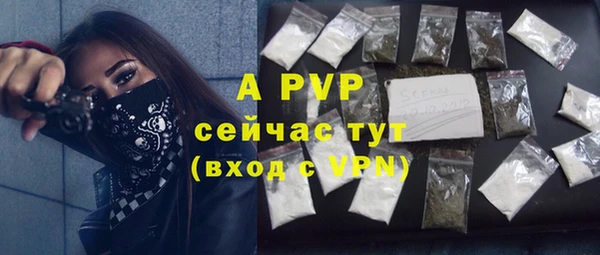 индика Кулебаки