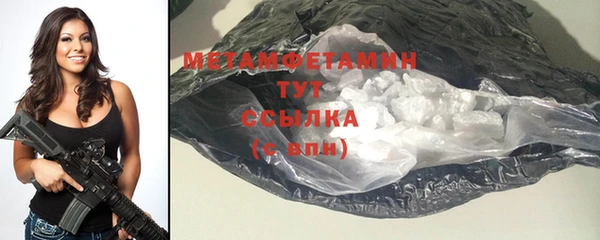 индика Кулебаки