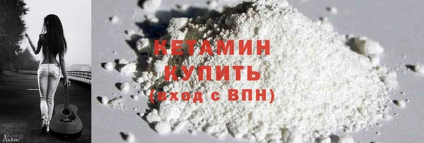 индика Кулебаки
