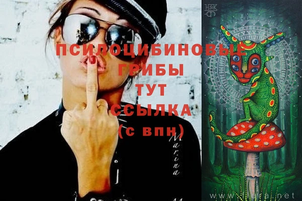 бутират Кукмор