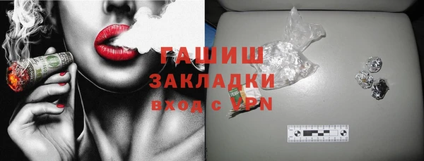 индика Кулебаки