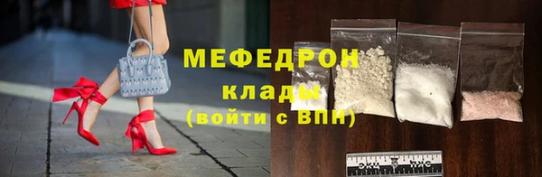 индика Кулебаки
