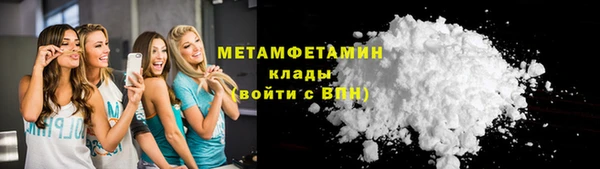 индика Кулебаки