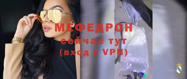индика Кулебаки
