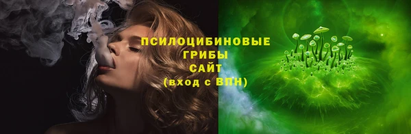индика Кулебаки