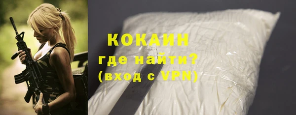 винт Лагань