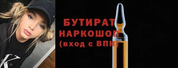 индика Кулебаки