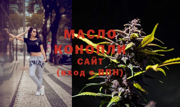 индика Кулебаки