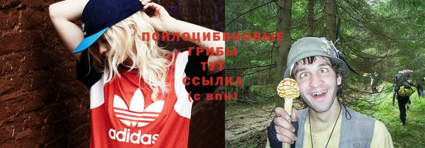 бутират Кукмор
