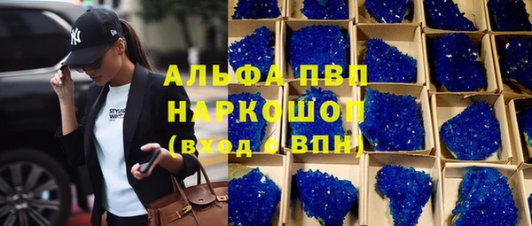 индика Кулебаки