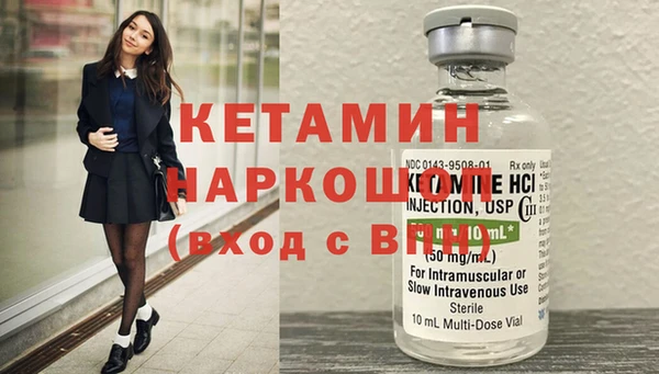 индика Кулебаки