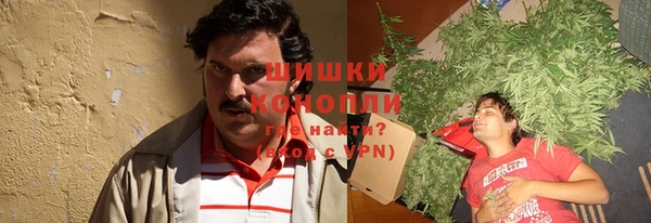 мдпв Ладушкин