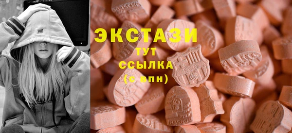 индика Кулебаки