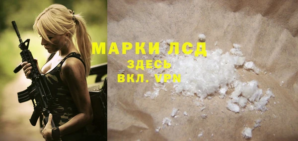 индика Кулебаки